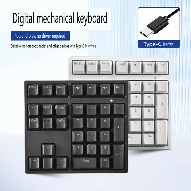 Mechanical Numeric Keypad Numb - đánh giá và giá Keyboard Numpad Separate